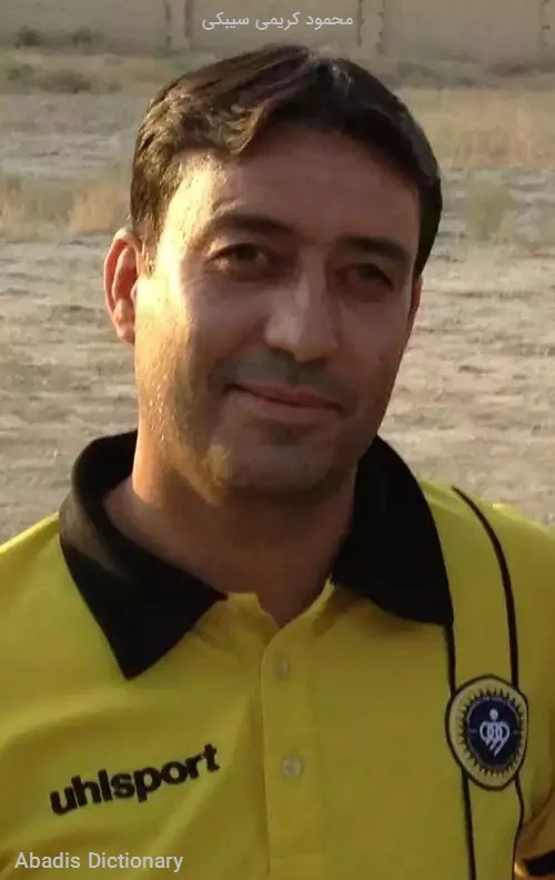 محمود کریمی سیبکی